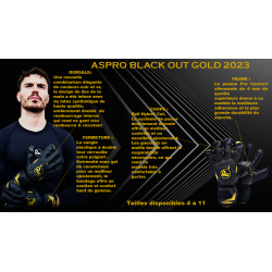 GANTS DE GOALS JUNIORS - RG ASPRO BLACKOUT/GOLD 2023