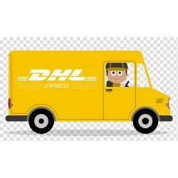 Transport DHL 24h International
